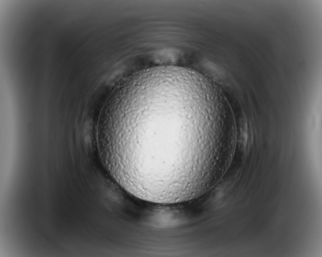 X0000085070616200703121643