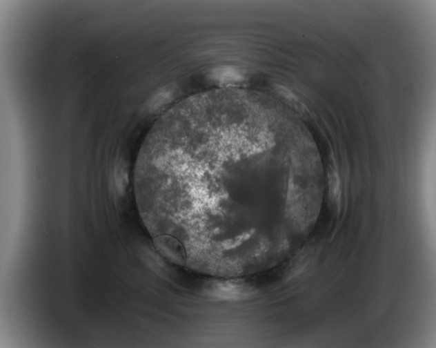 X0000085070618200703121643