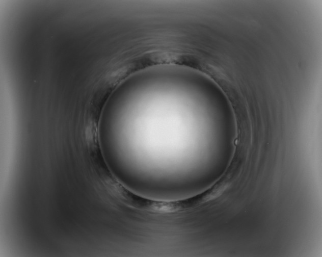 X0000085070624200703121643