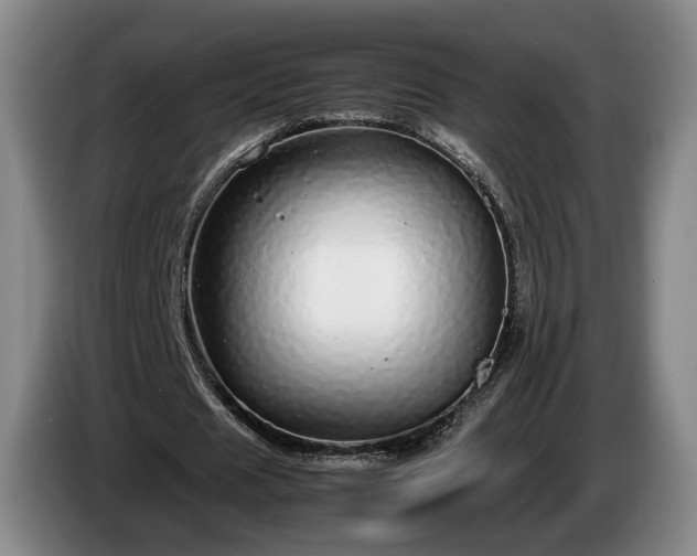 X0000085070625200703121642