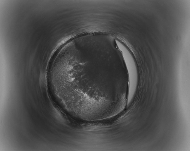 X0000085070626200703121642