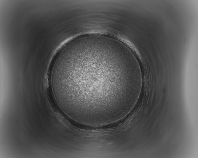 X0000085070628200703121642