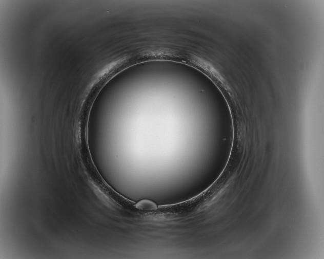 X0000085070629200703121642