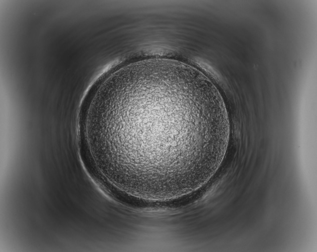 X0000085070630200703121642