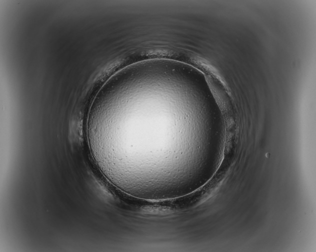 X0000085070633200703121642