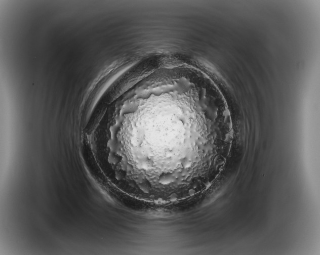 X0000085070634200703121642