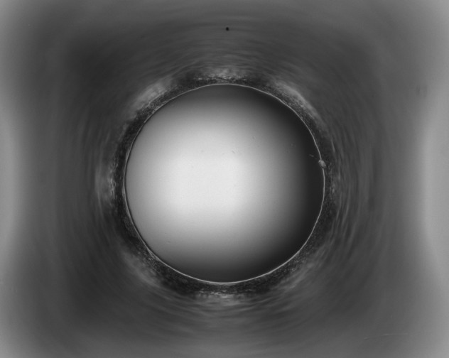 X0000085070635200703121642