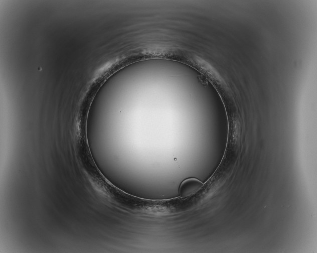 X0000085070636200703121643