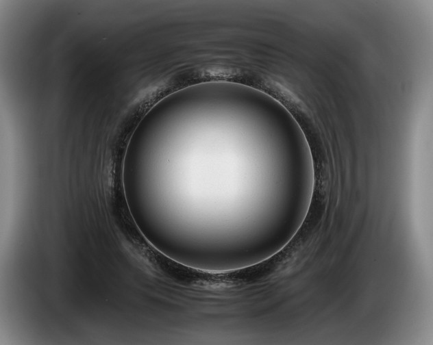 X0000085070639200703121643