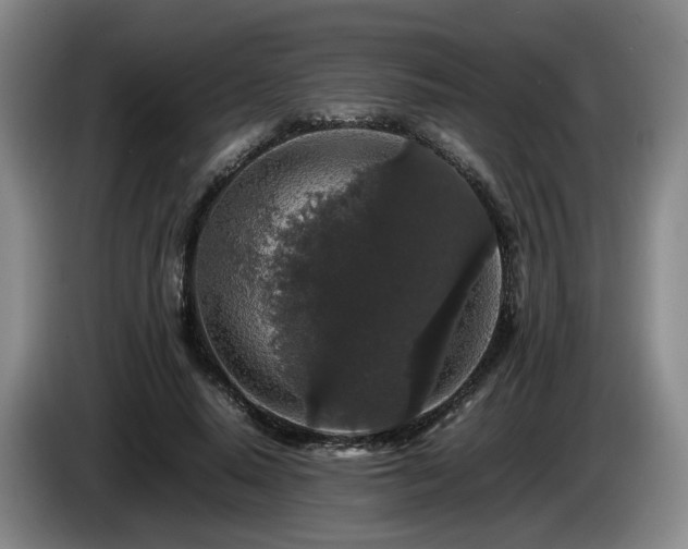 X0000085070640200703121643