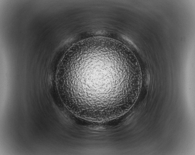 X0000085070643200703121643