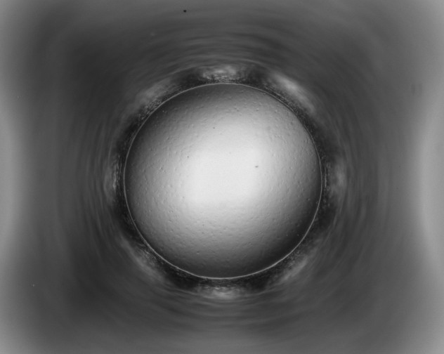 X0000085070645200703121643