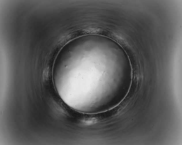 X0000085070647200703121643