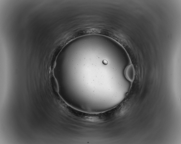 X0000085070649200703121643