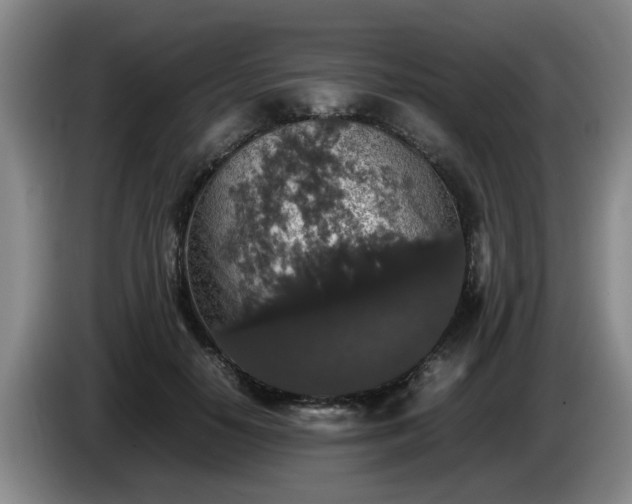 X0000085070650200703121643