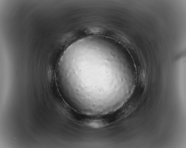 X0000085070651200703121643