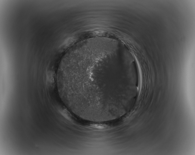 X0000085070654200703121643