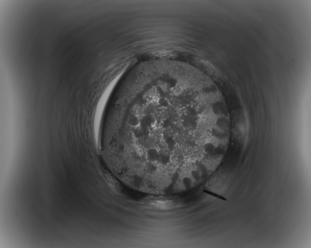 X0000085070658200703121643