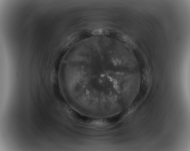 X0000085070659200703121643