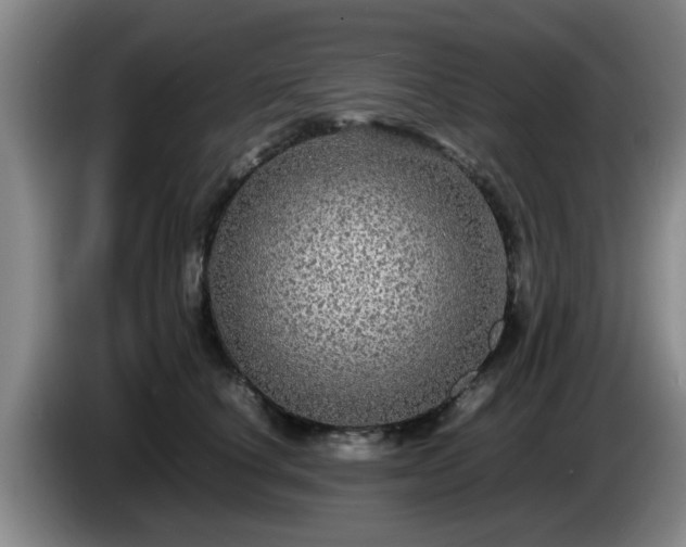 X0000085070660200703121643