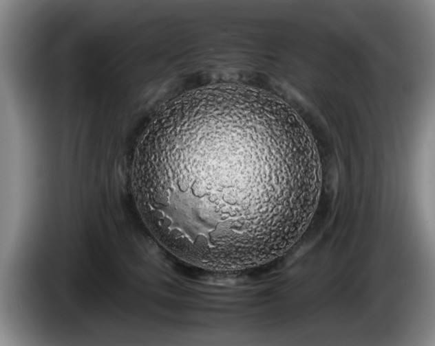 X0000085070661200703121643