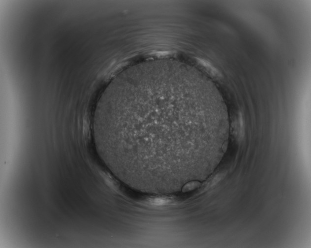 X0000085070662200703121643