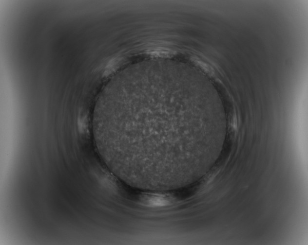 X0000085070663200703121643