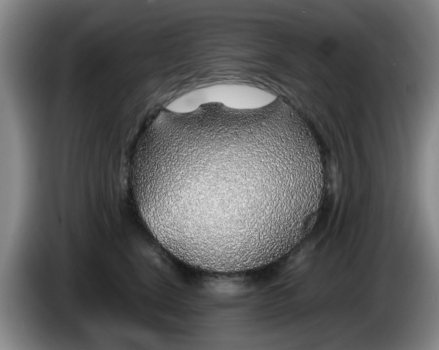 X0000085070664200703121643