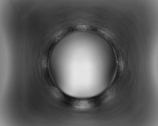 X0000085070665200703121643