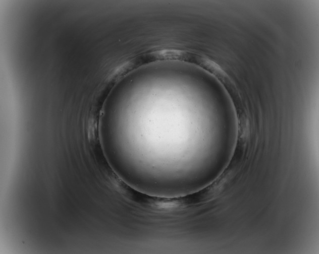 X0000085070669200703121643