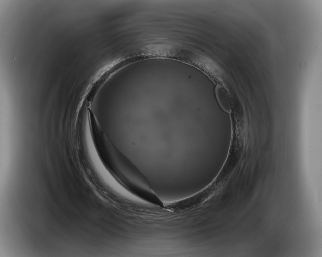 X0000085070674200703121642