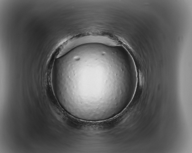 X0000085070675200703121642