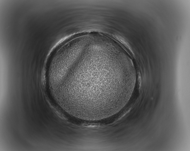 X0000085070676200703121642