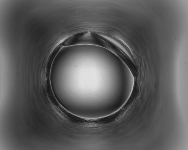 X0000085070677200703121642