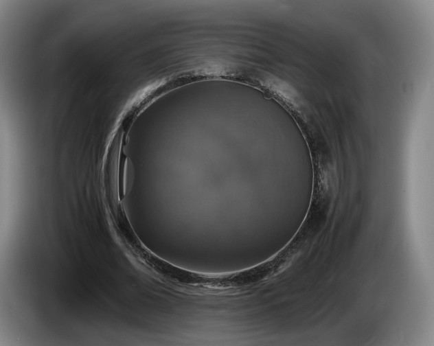 X0000085070678200703121642