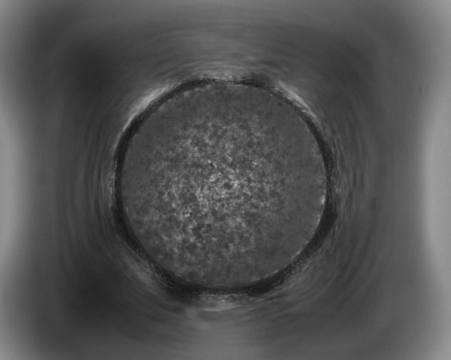 X0000085070679200703121642