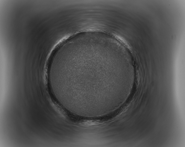 X0000085070680200703121642