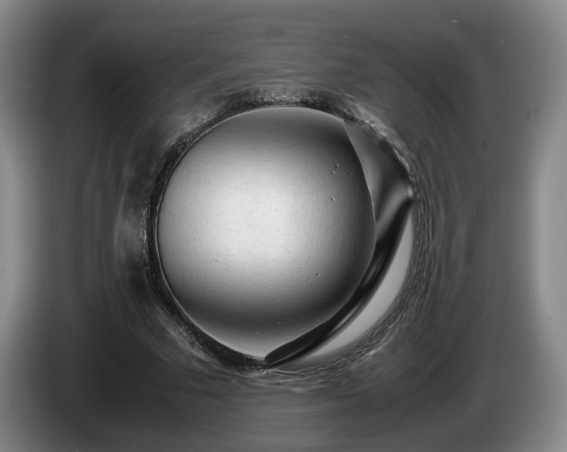 X0000085070681200703121642