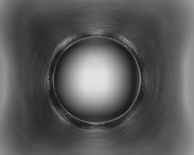 X0000085070682200703121642