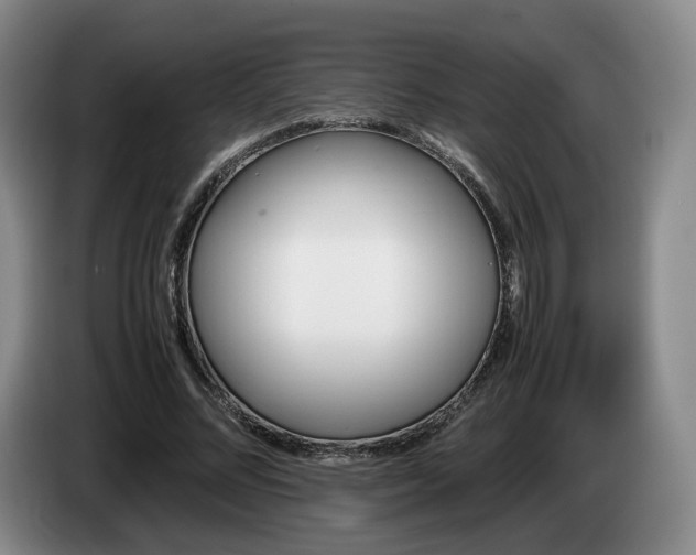 X0000085070684200703121642