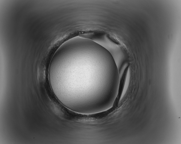 X0000085070685200703121642