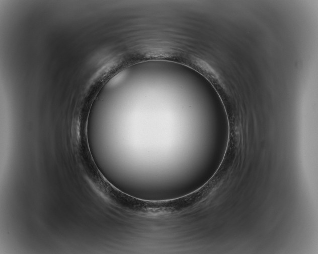 X0000085070686200703121642