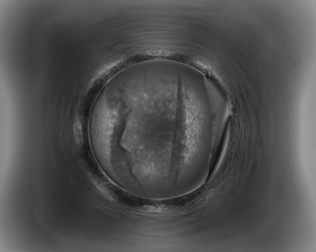 X0000085070688200703121642