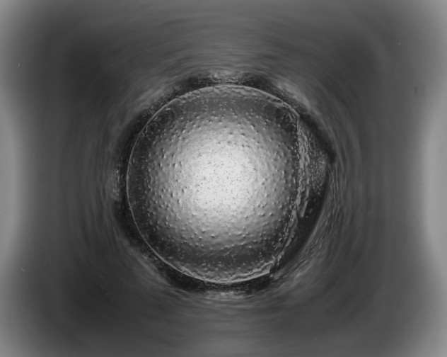 X0000085070689200703121642