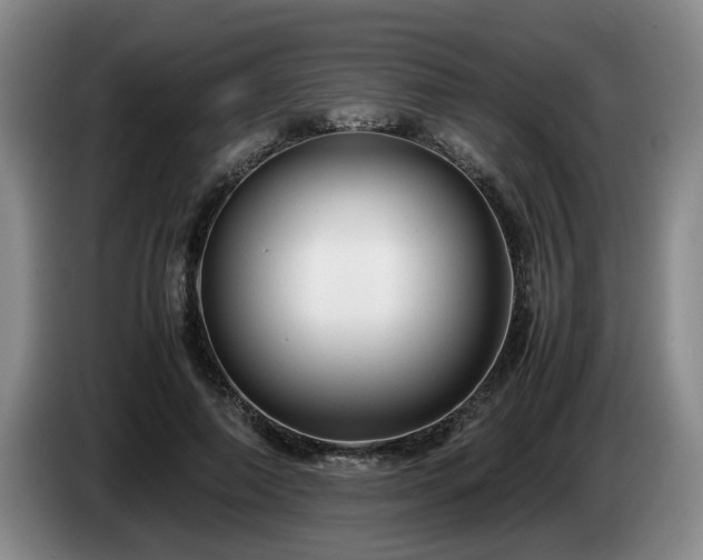 X0000085070690200703121642