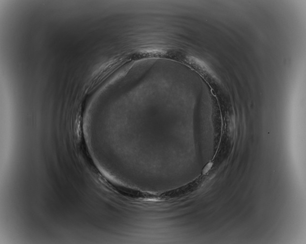 X0000085070692200703121642