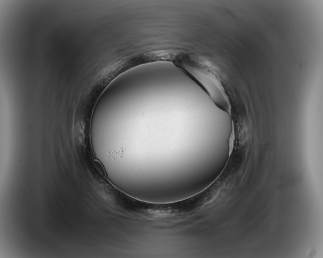 X0000085070693200703121642