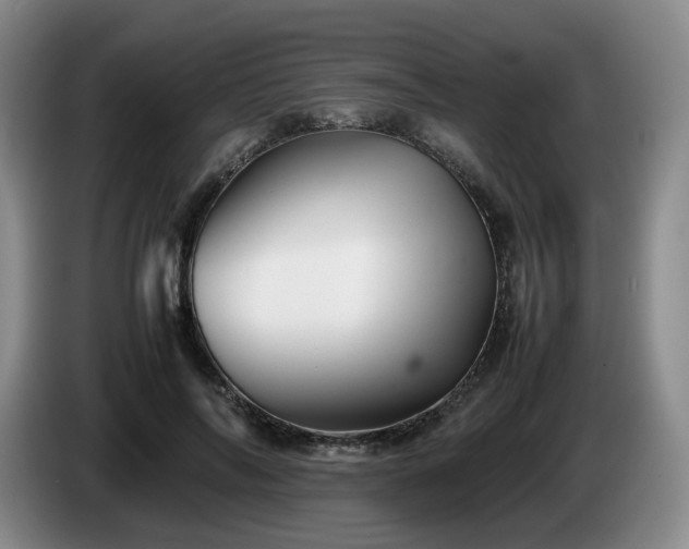 X0000085070694200703121642