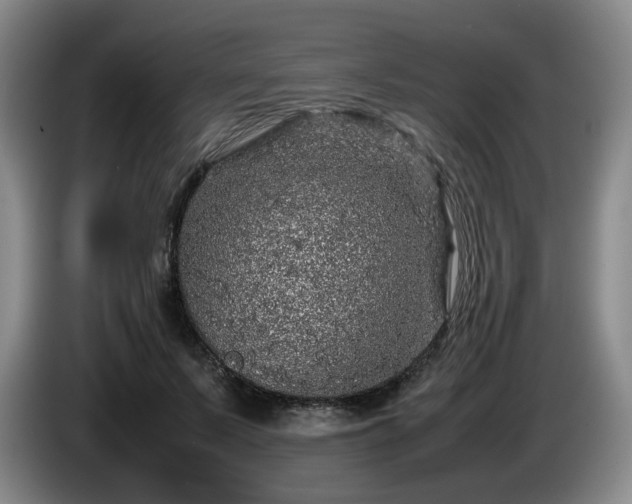 X0000085070695200703121642