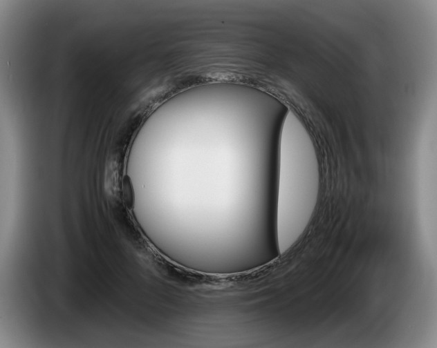 X0000085070696200703121642